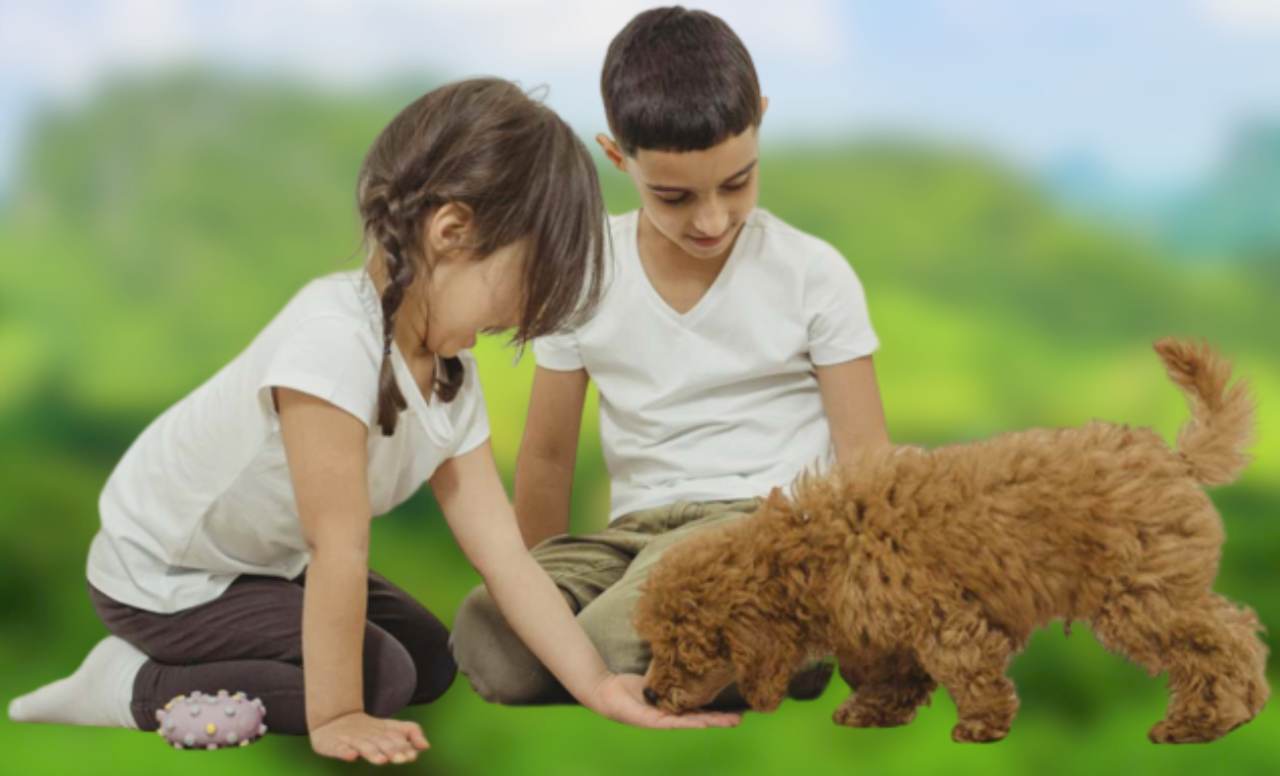 bambini giocano con cane - lineadiretta24.it