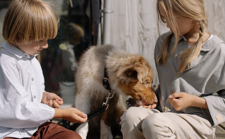 cani e bambini - lineadiretta24.it