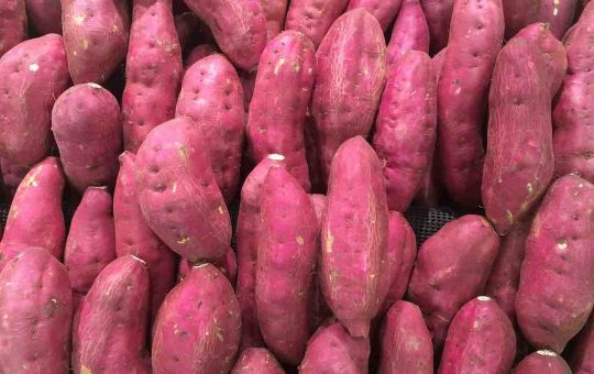 Patate viola
