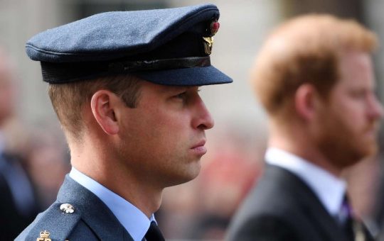Principe William